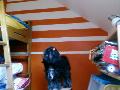 Hebergement gratuit d image et
photo
