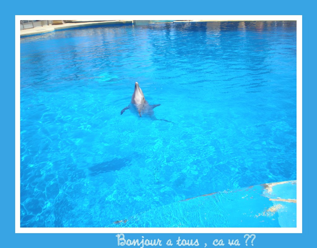 Image hébergée par Casimages.com : votre hébergeur d images simple et gratuit
