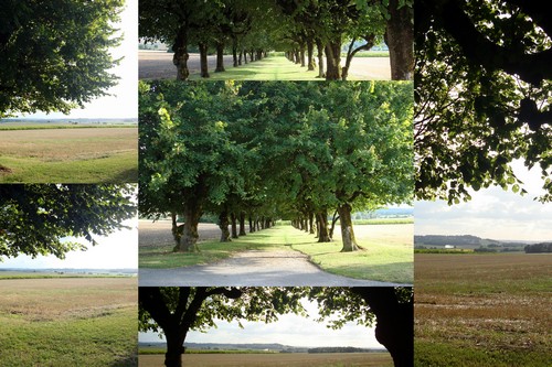Image hébergée par Casimages.com : votre hébergeur d images simple et gratuit