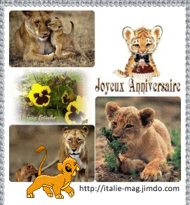Bon Anniversaire il leone