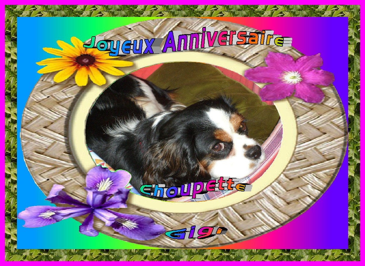 Image h�berg�e par Casimages.com : votre h�bergeur d images simple et gratuit