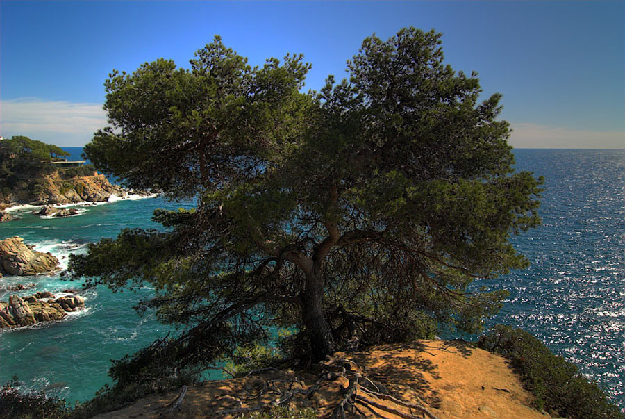 Aa Resimleri (4. Katalog)