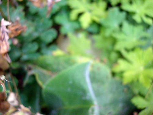 Image hébergée par Casimages.com : votre hébergeur d images simple et gratuit