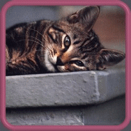 Image h�berg�e par Casimages.com : votre h�bergeur d images simple et gratuit