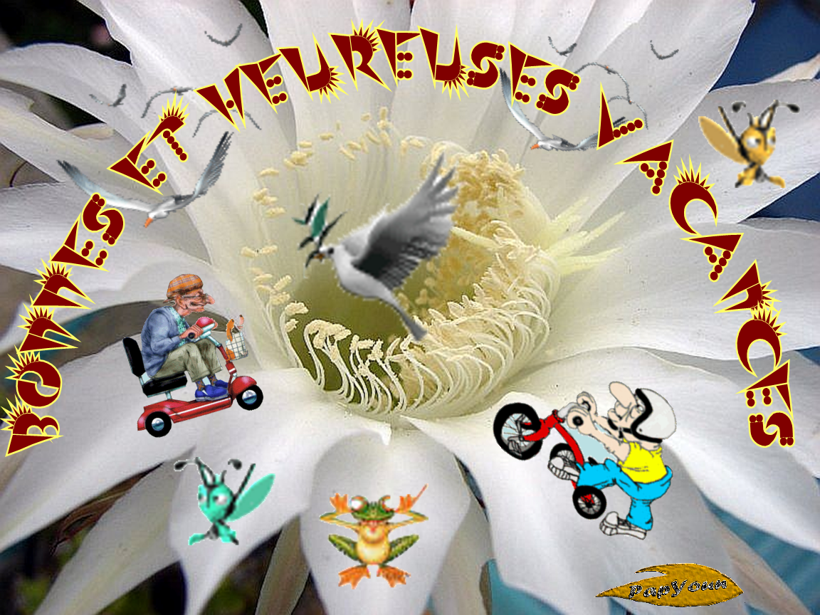 voir l'image en taille réelle