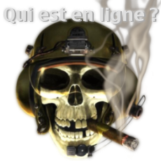 Qui est en ligne ?