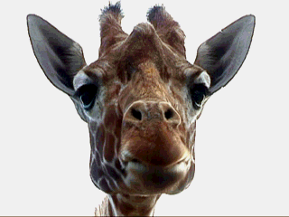 Image hébergée par Casimages.com : votre hébergeur d images simple et gratuit