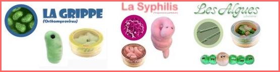 Image h�berg�e par Casimages.com : votre h�bergeur d images simple et gratuit