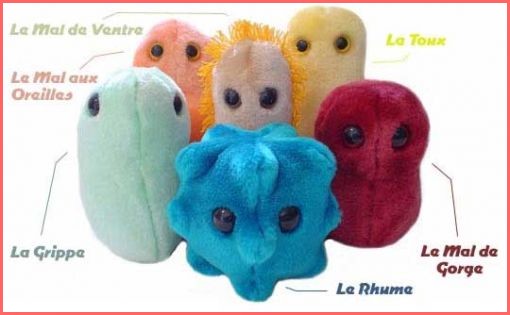 Image h�berg�e par Casimages.com : votre h�bergeur d images simple et gratuit