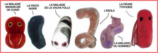 Image h�berg�e par Casimages.com : votre h�bergeur d images simple et gratuit