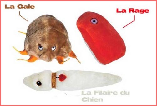Image h�berg�e par Casimages.com : votre h�bergeur d images simple et gratuit