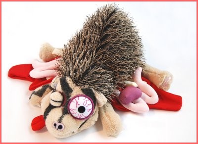 Image h�berg�e par Casimages.com : votre h�bergeur d images simple et gratuit