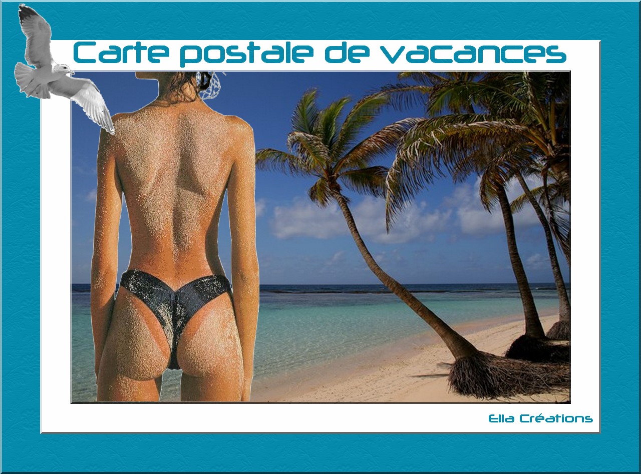 voir l'image en taille réelle