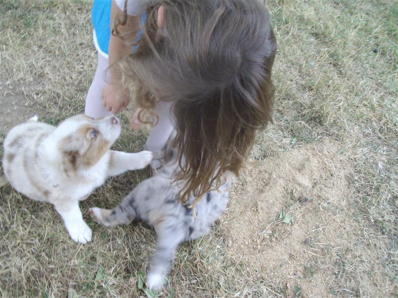 Image h�berg�e par Casimages.com : votre h�bergeur d images simple et gratuit