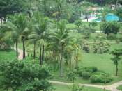 DSCF1148.jpg