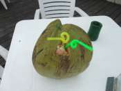 DSCF1176.jpg