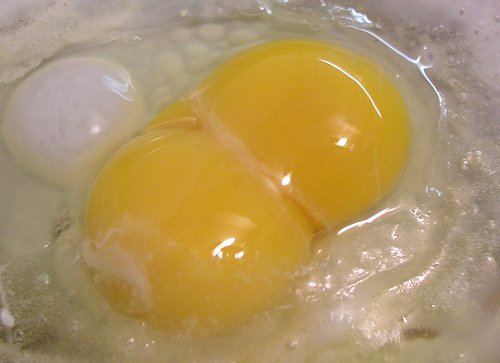 jaunes oeufs double