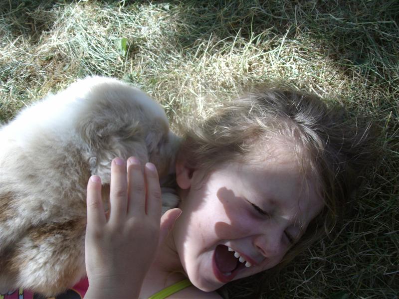 Image h�berg�e par Casimages.com : votre h�bergeur d images simple et gratuit