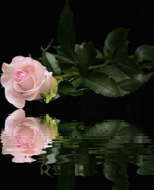 Image hébergée par Casimages.com : votre hébergeur d images simple et gratuit