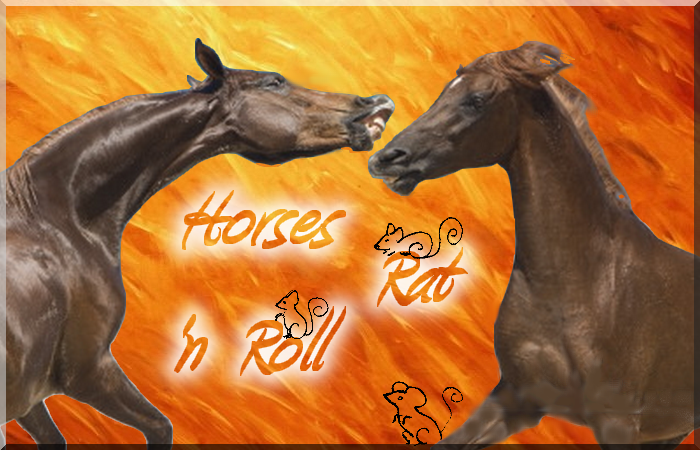 Horses-rat'n-roll