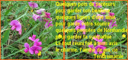 la-fianc-e-du-soleil
