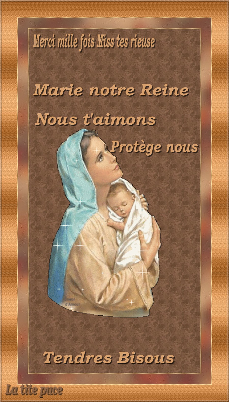 voir l'image en taille réelle