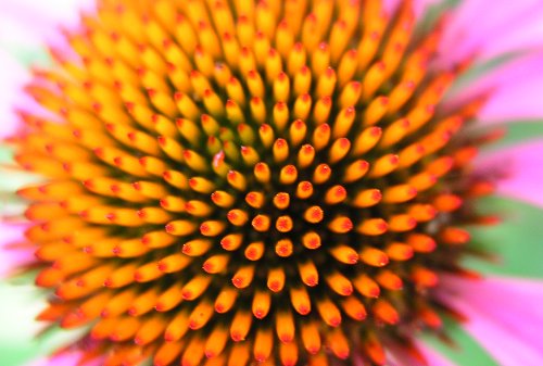 photographie danydanielgabriel