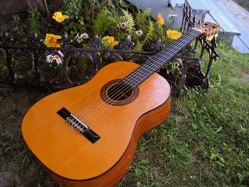 guitare fleurs