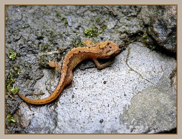 Image hébergée par Casimages.com : votre hébergeur d images simple et gratuit
