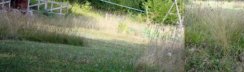 Image hébergée par Casimages.com : votre hébergeur d images simple et gratuit