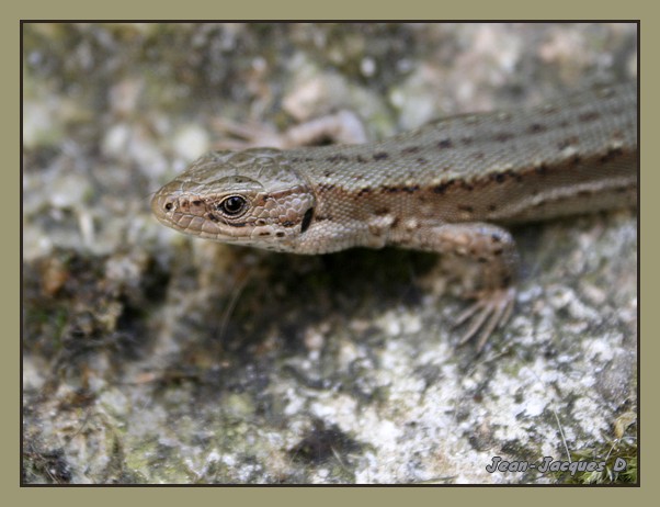 Image hébergée par Casimages.com : votre hébergeur d images simple et gratuit