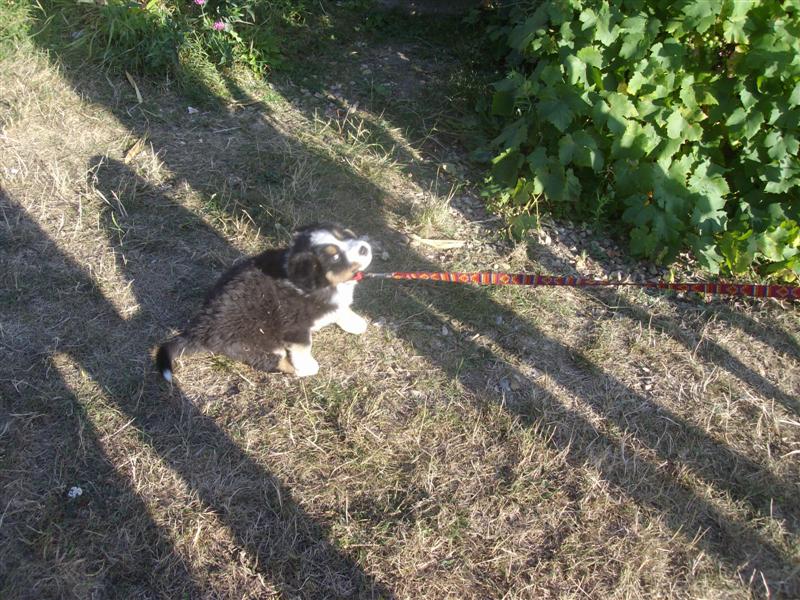 Image h�berg�e par Casimages.com : votre h�bergeur d images simple et gratuit