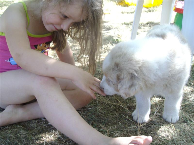Image h�berg�e par Casimages.com : votre h�bergeur d images simple et gratuit