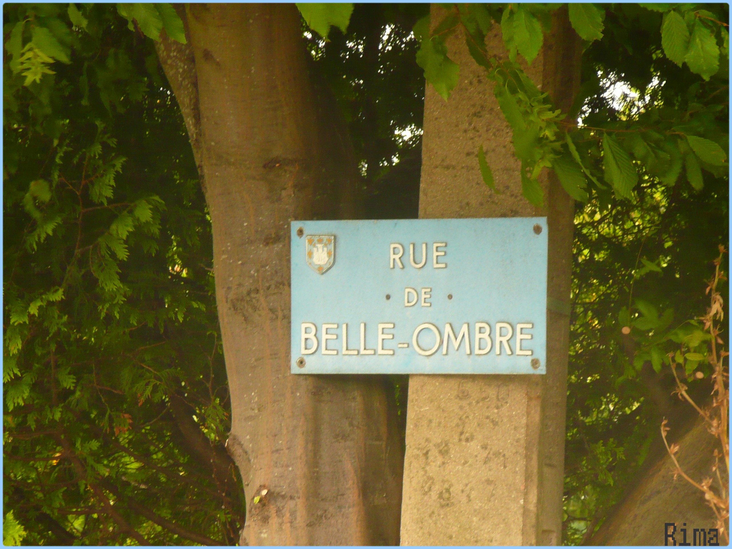 voir l'image en taille réelle