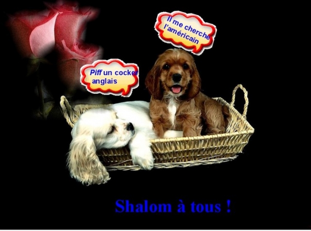 Image hébergée par Casimages.com : votre hébergeur d images simple et gratuit