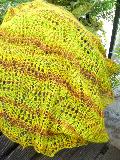 http://nsm02.casimages.com/img/2009/08/18//mini_090818074103685004274913.jpg