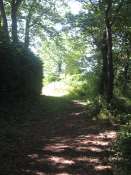 raid2009_068.jpg