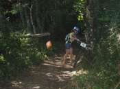 raid2009_098.jpg