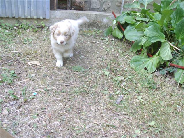Image h�berg�e par Casimages.com : votre h�bergeur d images simple et gratuit