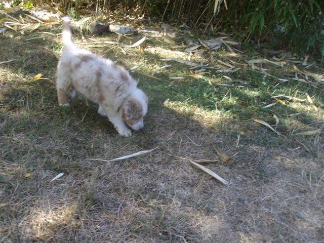 Image h�berg�e par Casimages.com : votre h�bergeur d images simple et gratuit