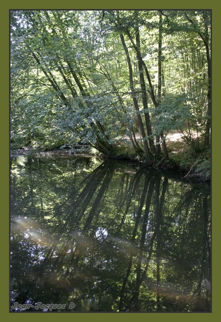 Image hébergée par Casimages.com : votre hébergeur d images simple et gratuit