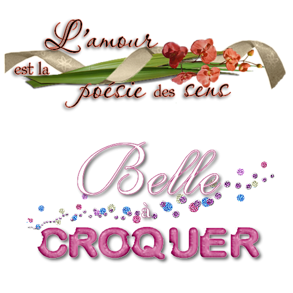 voir l'image en taille r&eacute;elle