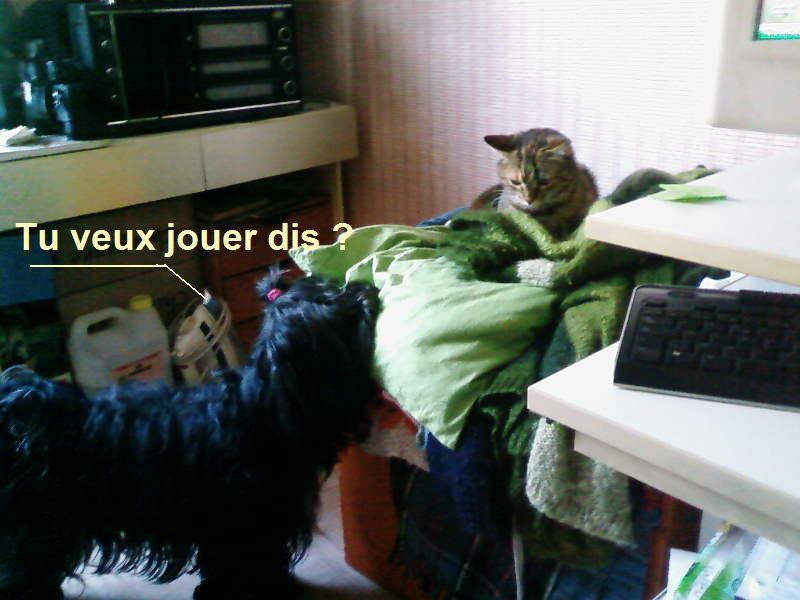 Image h�berg�e par Casimages.com : votre h�bergeur d images simple et gratuit