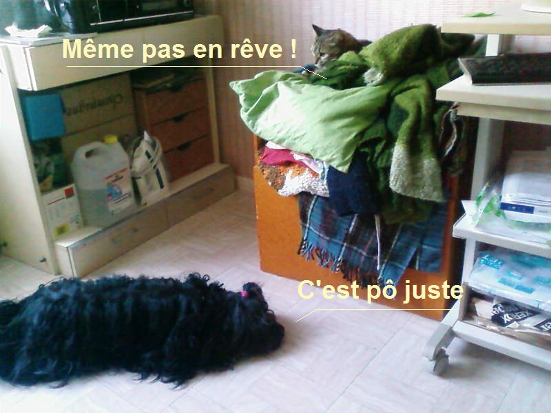 Image h�berg�e par Casimages.com : votre h�bergeur d images simple et gratuit