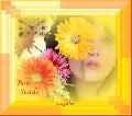 jeud