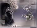 Hebergement gratuit d image et photo