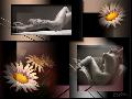 Hebergement gratuit d image et photo