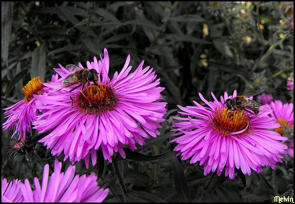 Image hébergée par Casimages.com : votre hébergeur d images simple et gratuit