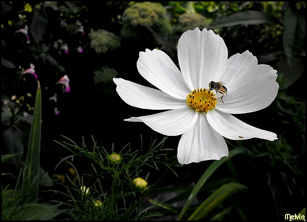 Image hébergée par Casimages.com : votre hébergeur d images simple et gratuit