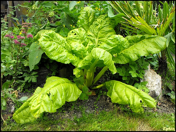 Image hébergée par Casimages.com : votre hébergeur d images simple et gratuit